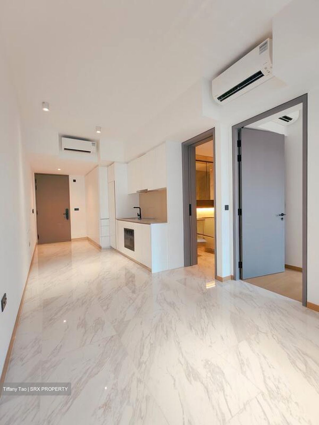 The Landmark (D3), Condominium #521566311